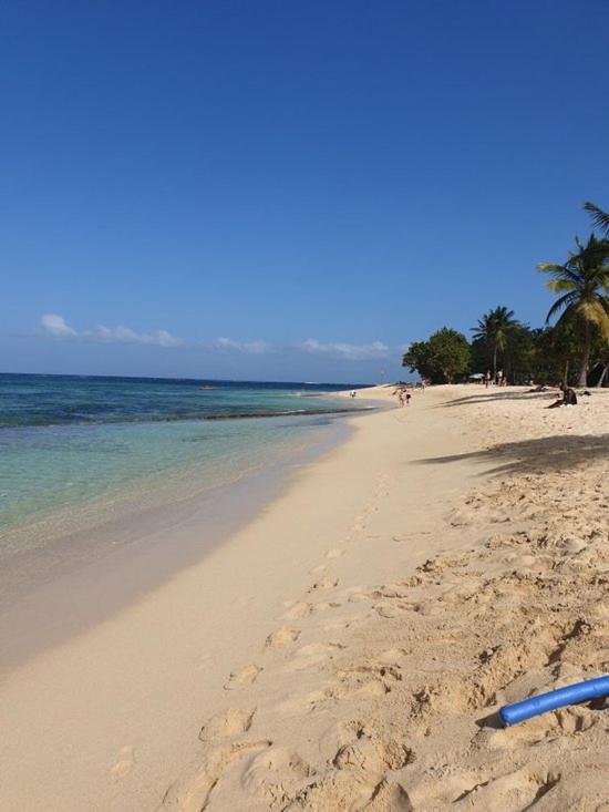 Le Cocon Hotell Le Moule Exteriör bild